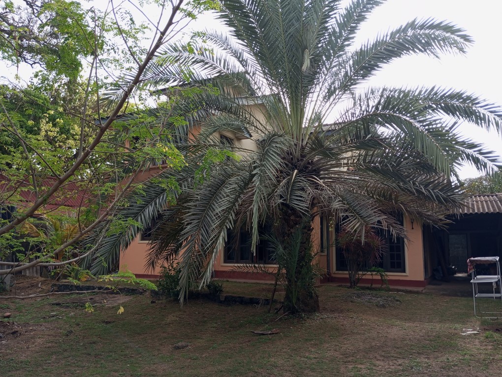 Two Storey House with 18 Perches in Lunawa, M